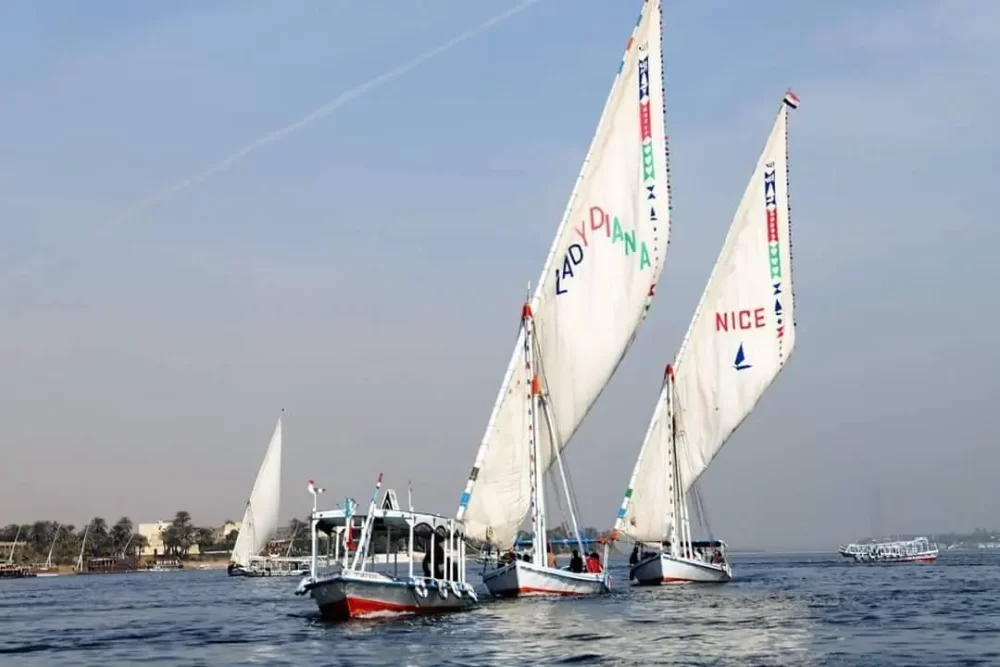 Felucca