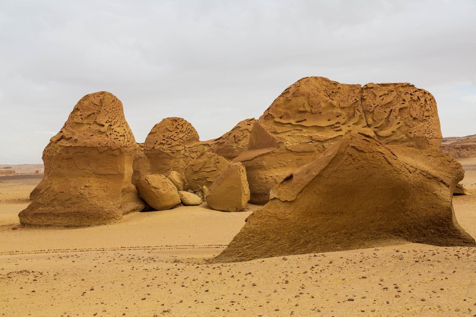 valley-whales-wadi-al-hitan-paleontological-site-faiyum-governorate-egypt
