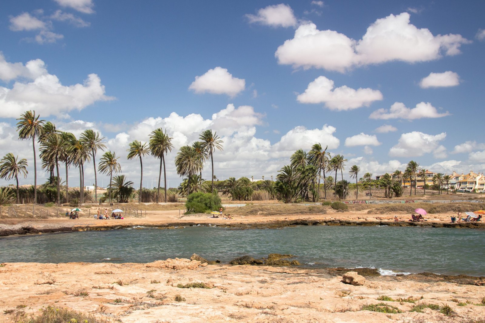 Aswan Palm View.