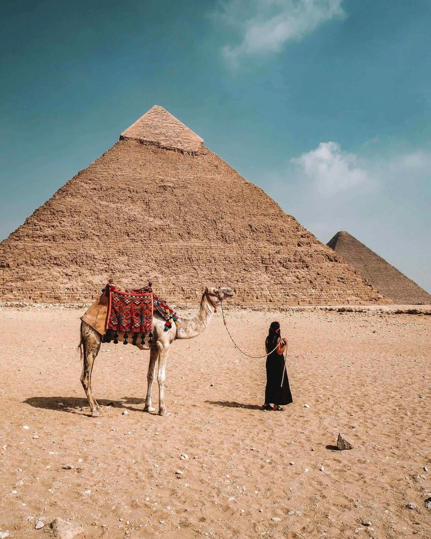 Day Tour to Cairo from Hurghada By Bus 2