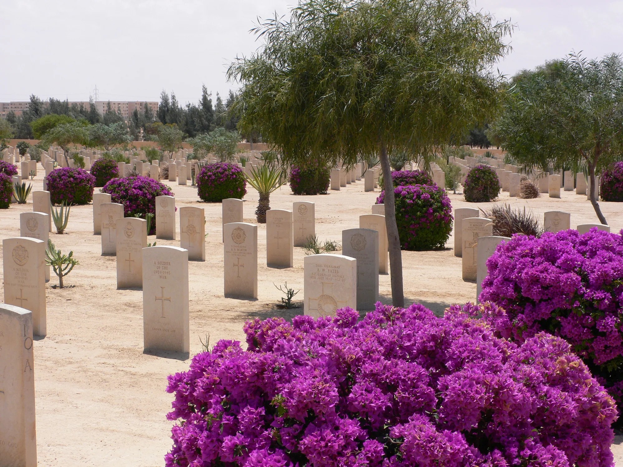 El Alamein Day Tour from Alexandria