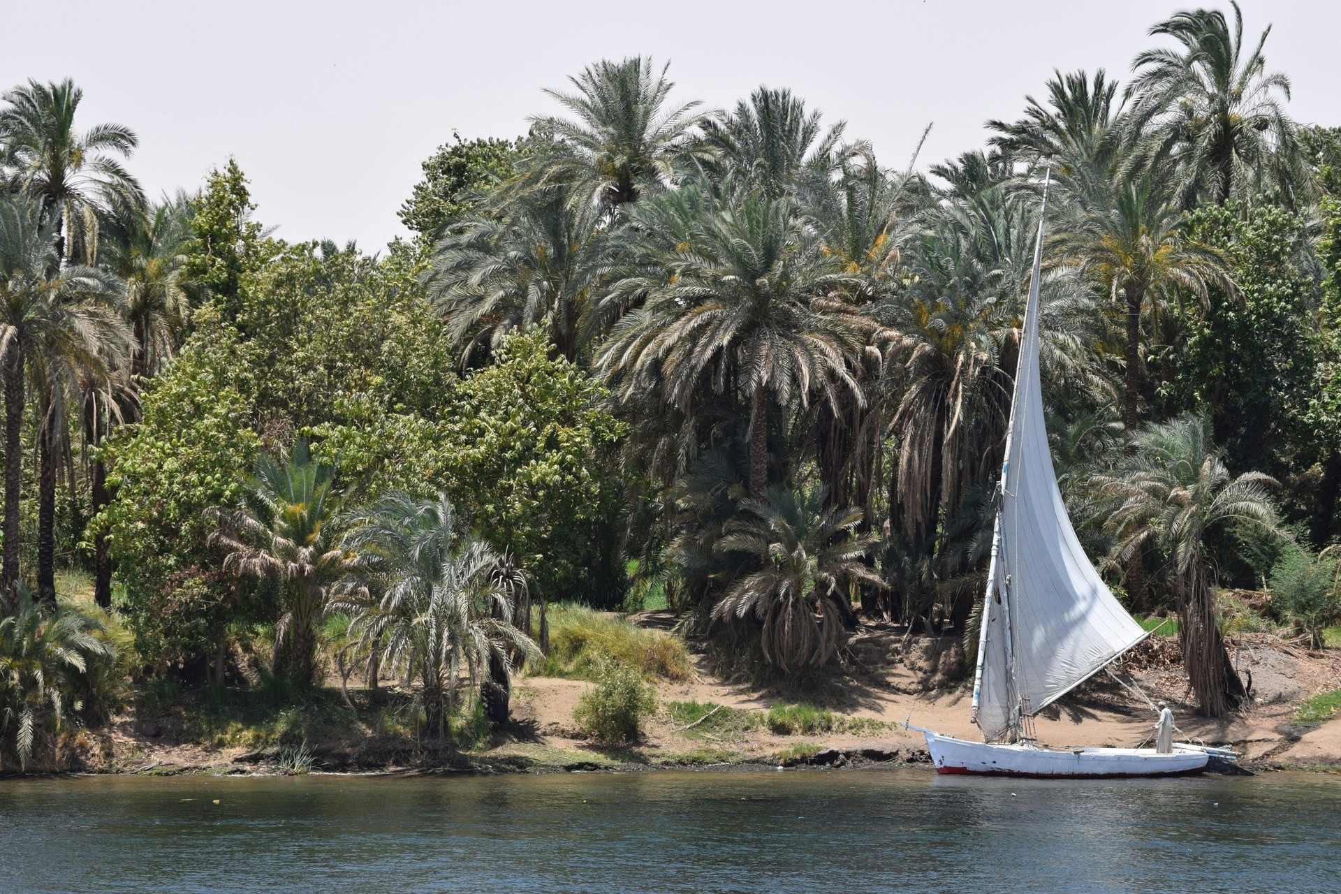 Cruise Privado Nile: Dahabeya Zahra de Lujo