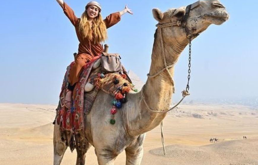 11 Days Egypt Trip – Cairo, Nile Cruise, Hurghada & Luxor Highlights