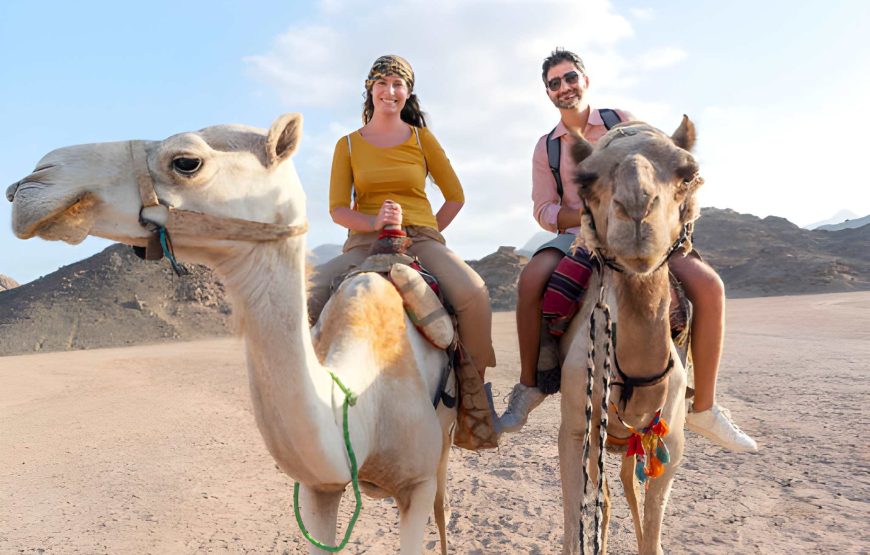 8 Days Egypt Trip Package – Explore Cairo, Nile Cruise & Luxor