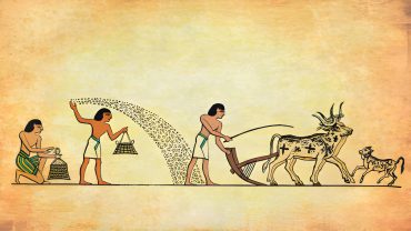 Ancient Egyptian Animal Gods