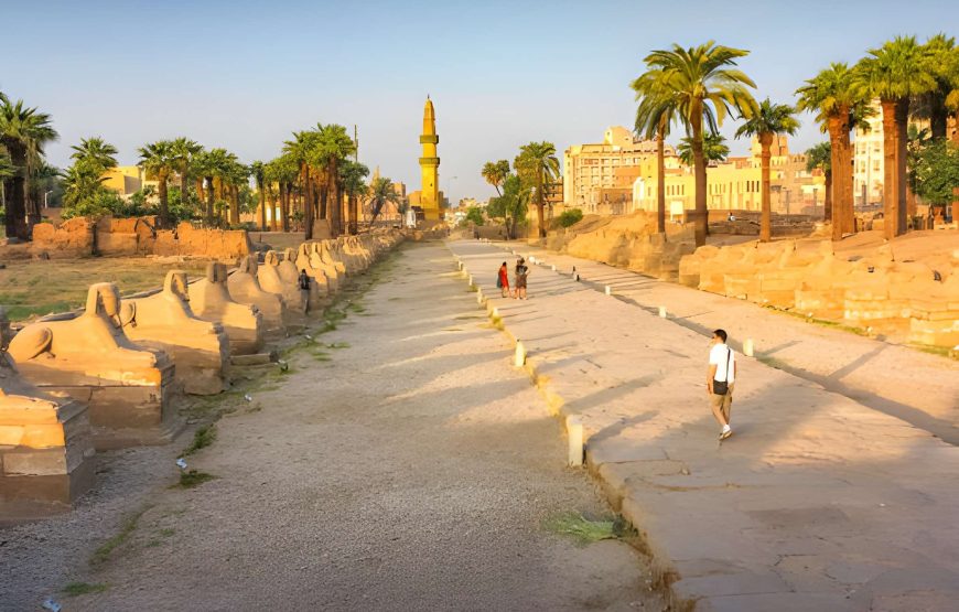 11 Days Egypt Trip – Cairo, Nile Cruise, Hurghada & Luxor Highlights