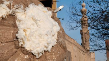 Women’s Rights In Egypt