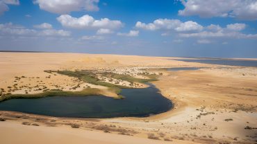 Fayoum & Western Desert