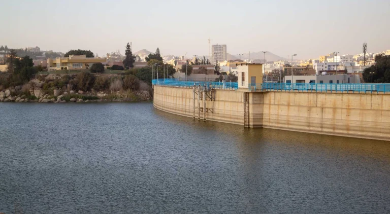 Day tour in Aswan (unfinished obelisk, High Dam and Philae Temple