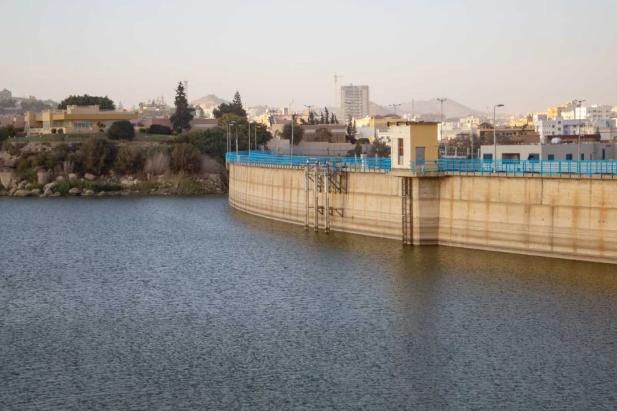 Day Tour in Aswan (Unfinished Obelisk, High Dam, and Philae Temple)