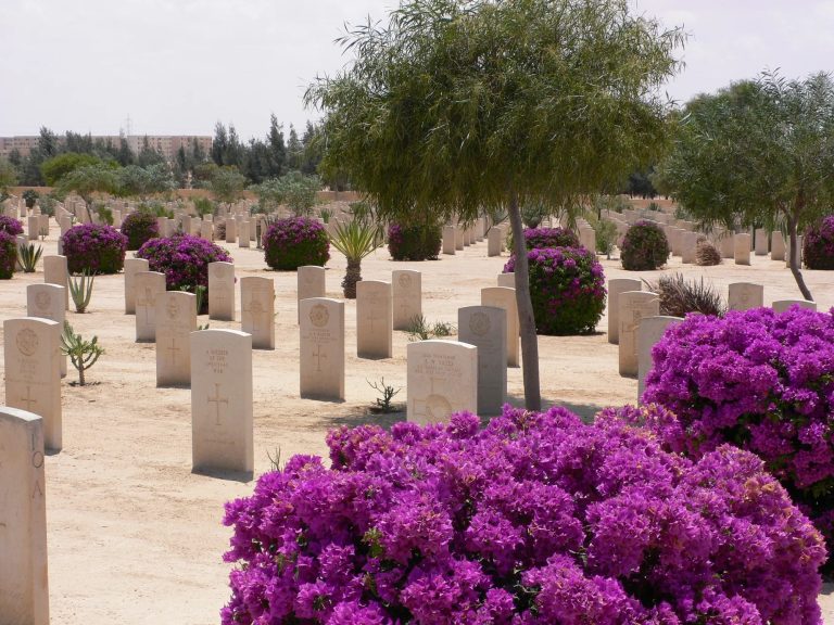 El Alamein Day Tour from Alexandria