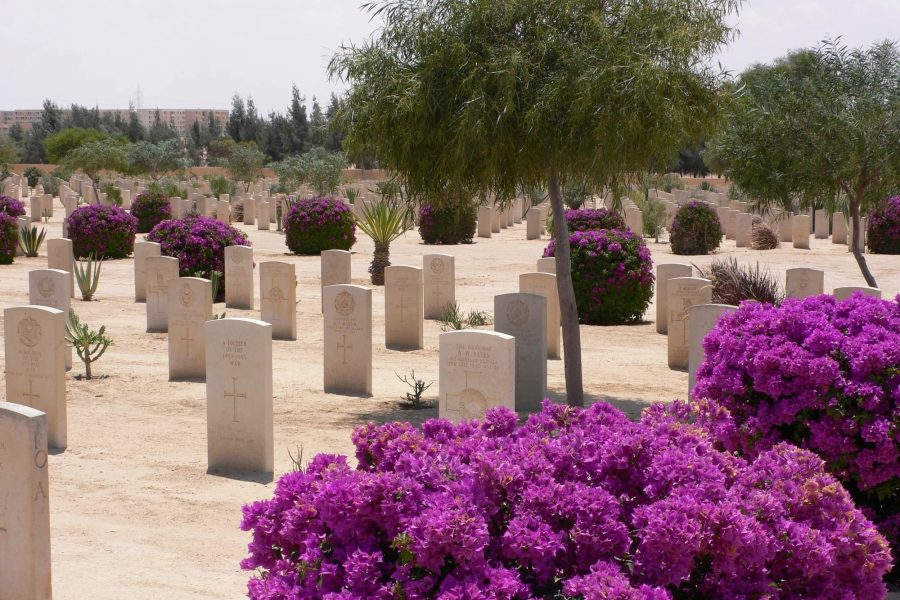 El Alamein Day Tour from Alexandria