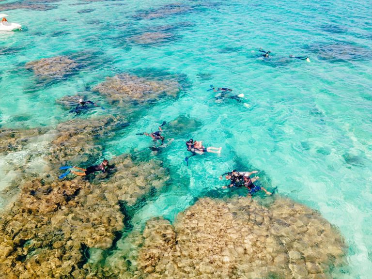 Giftun Island Snorkeling Trip