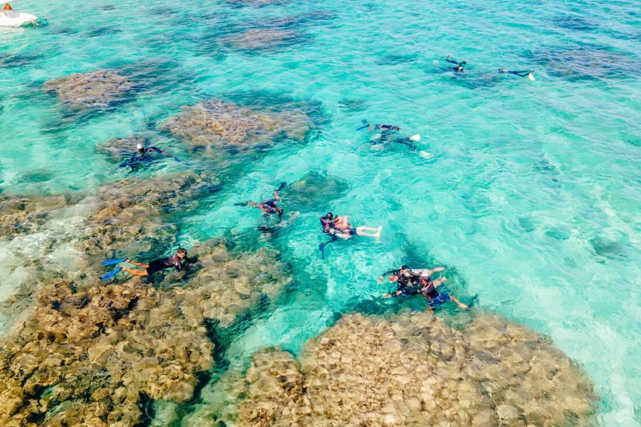 Snorkeling over Red Sea coral reef